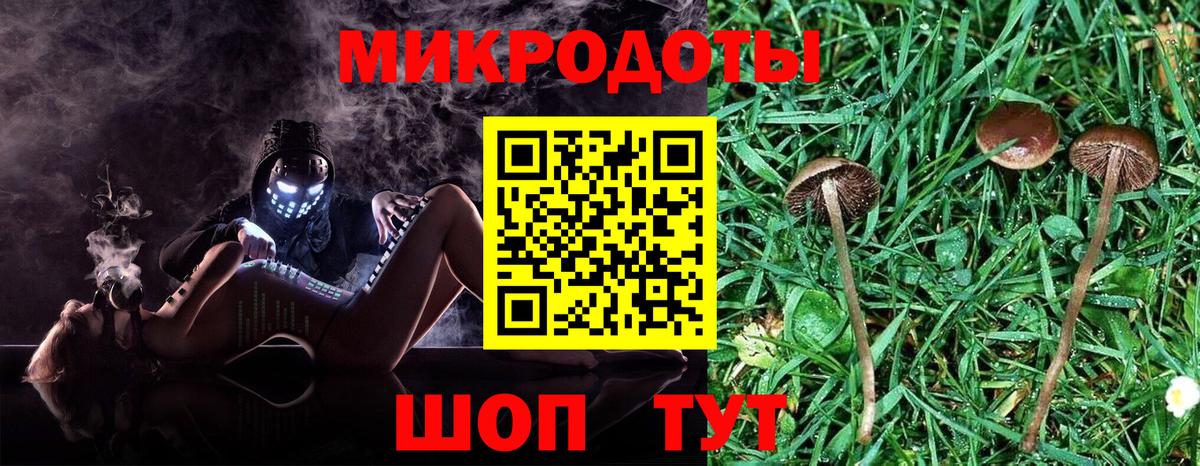 Галлюциногенные грибы Psilocybine cubensis  Галлюциногенные грибы мухоморы  Тамбов  Вход с VPN 