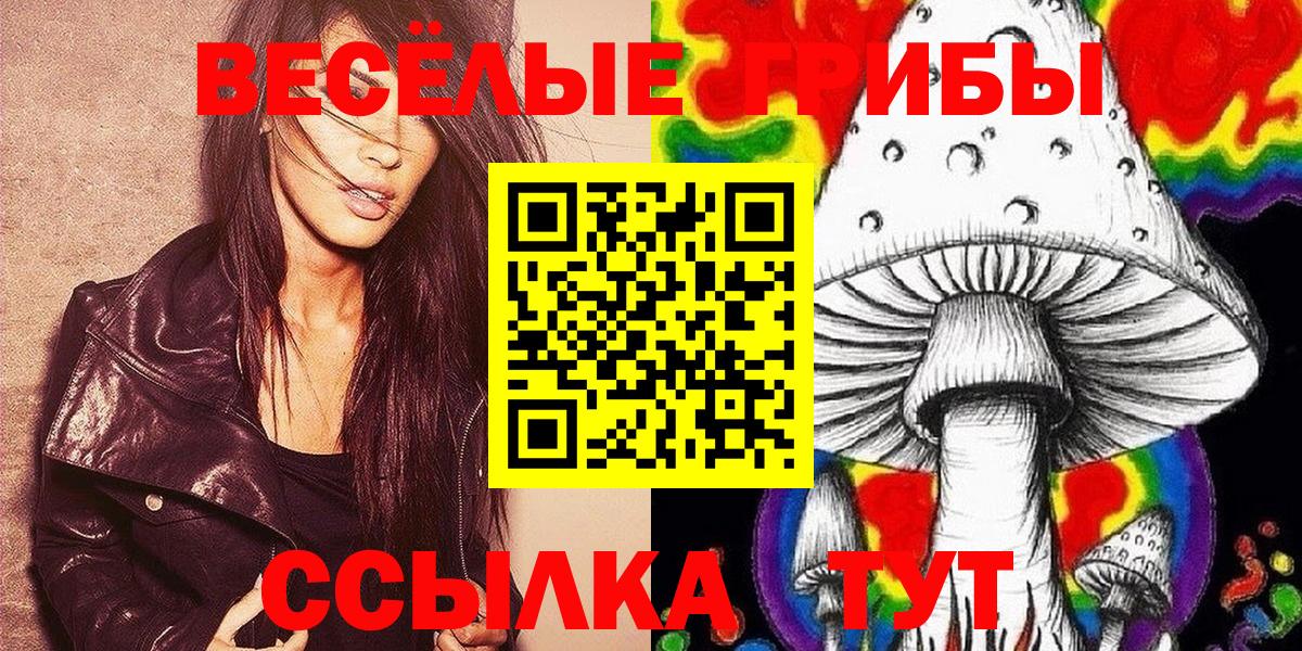 Сколько стоит  Канабис  Гашиш  Тамбов  Вход с VPN  ГАШ  Меф МЯУ МЯУ  